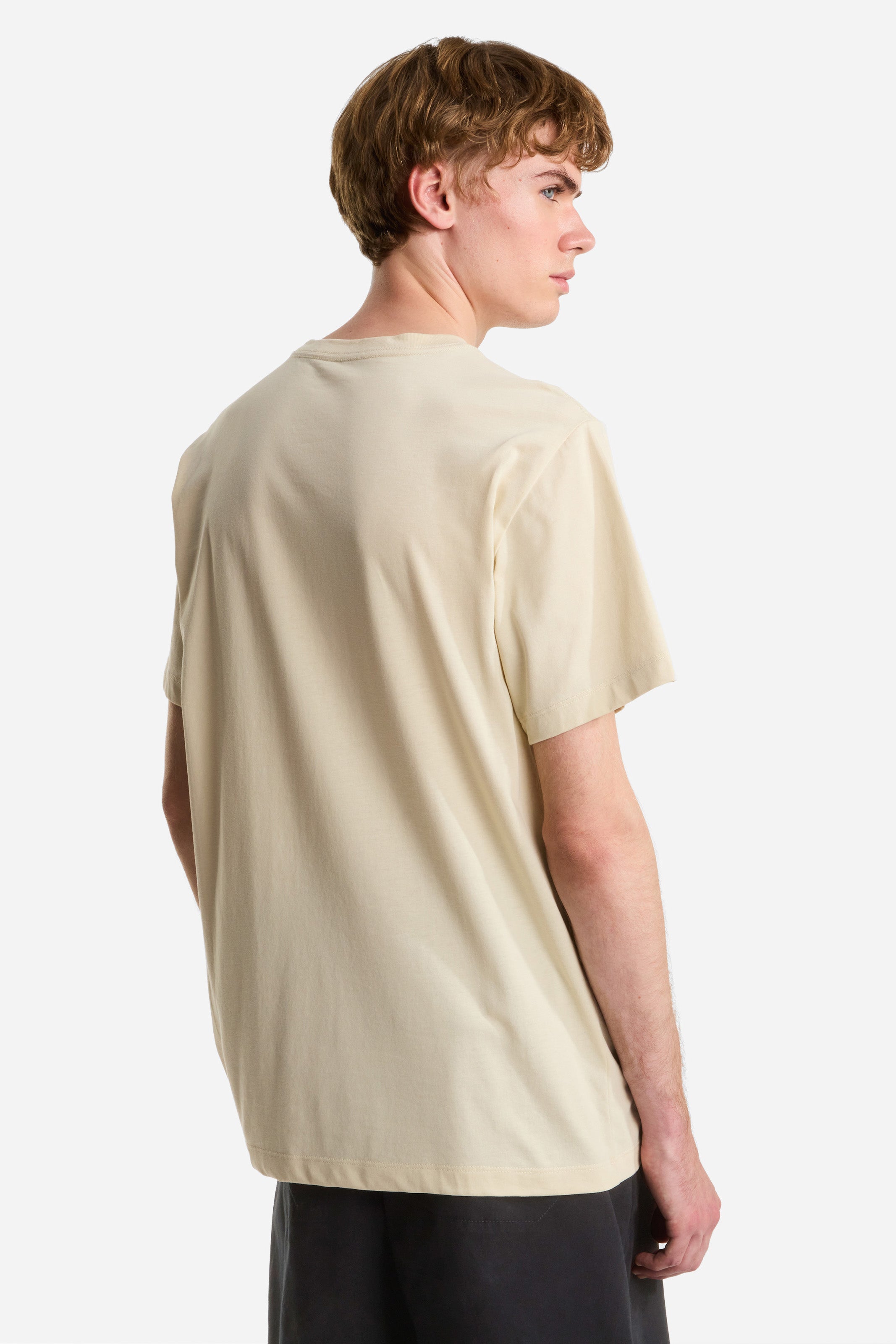 Evolution T-Shirt - Desert Stone