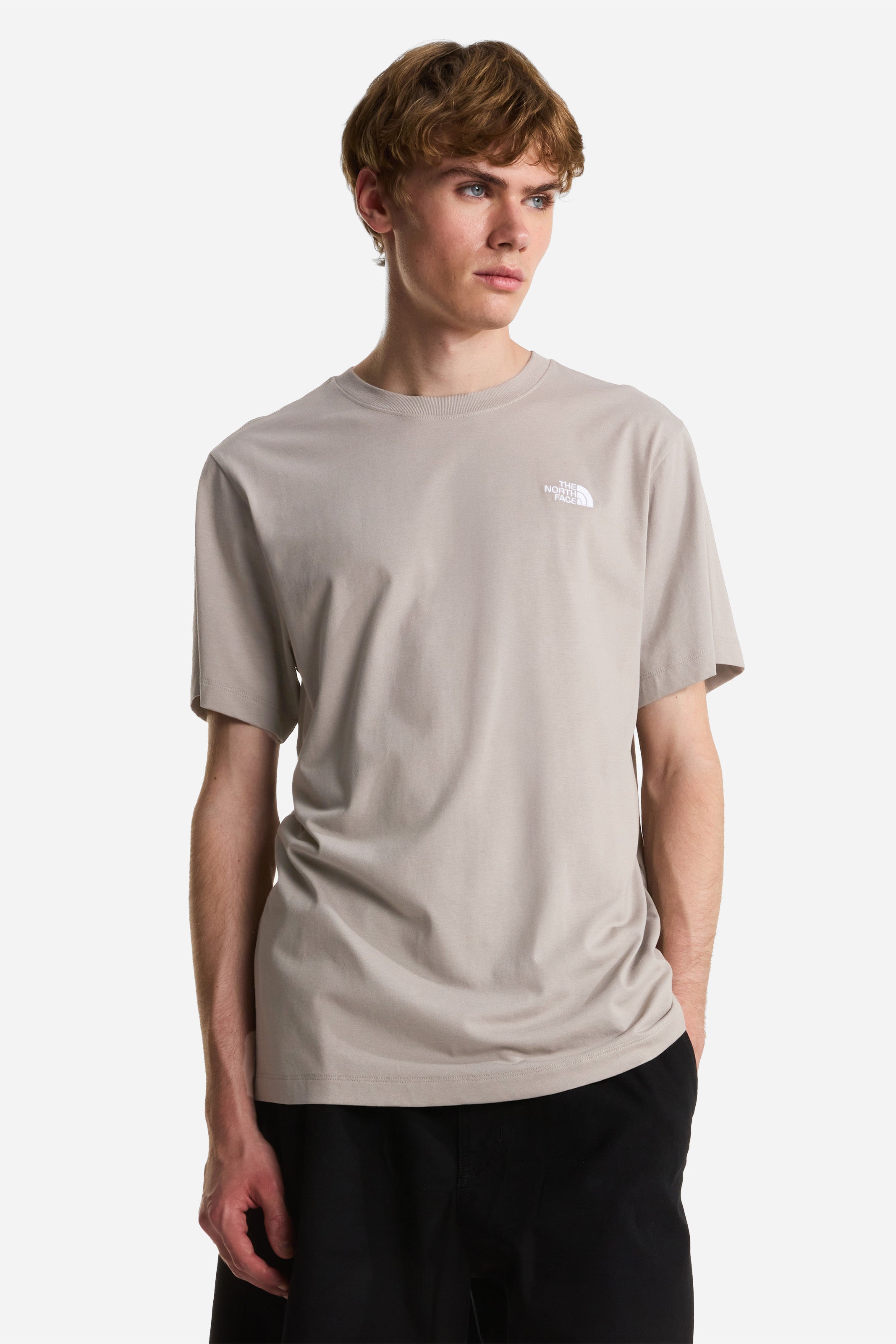 Evolution T-Shirt - Stone Slab