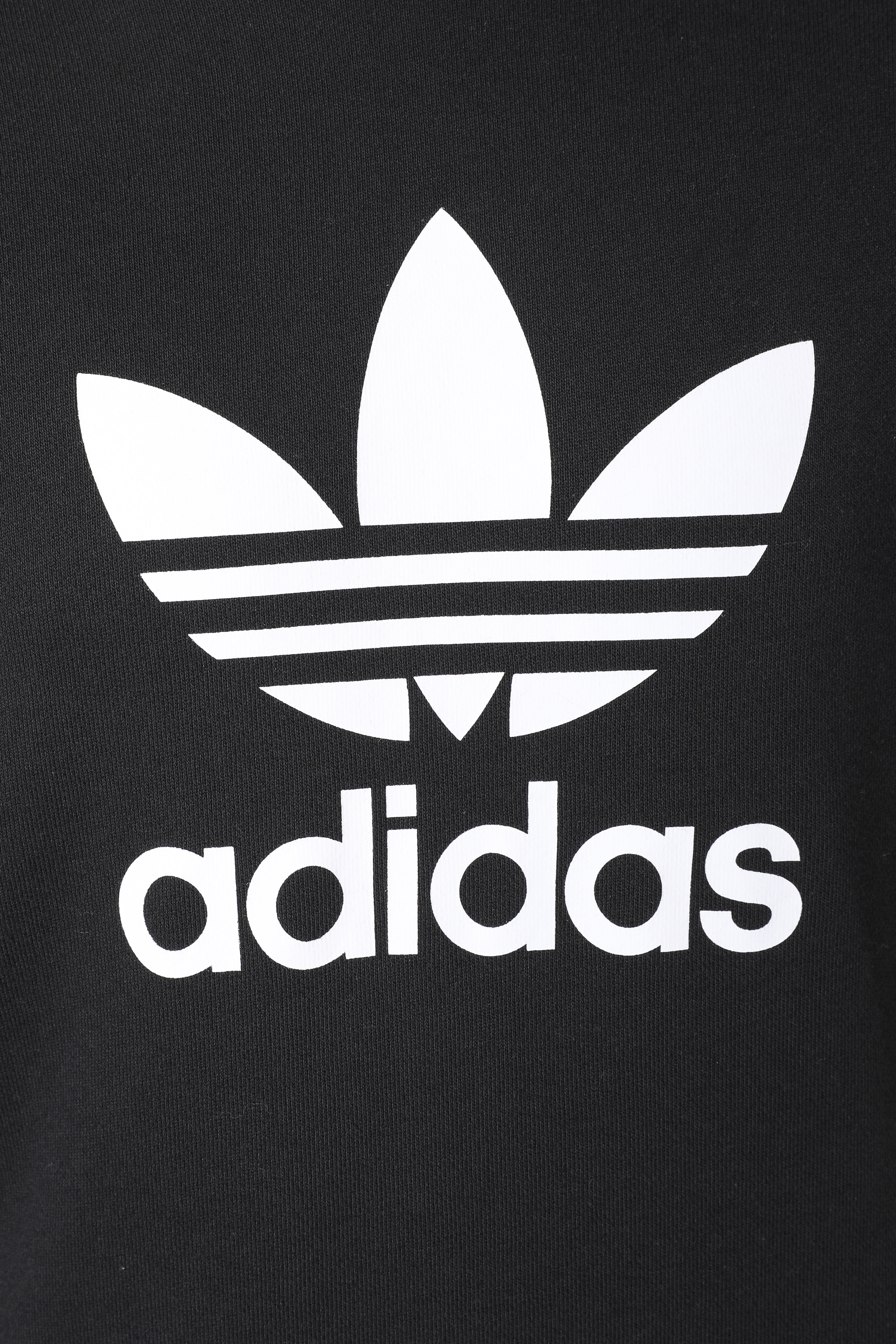Kapuzensweatshirt - Schwarz